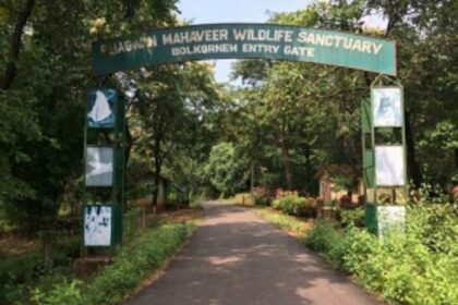 Two decades later, boundaries of wildlife sanctuaries not demarcated