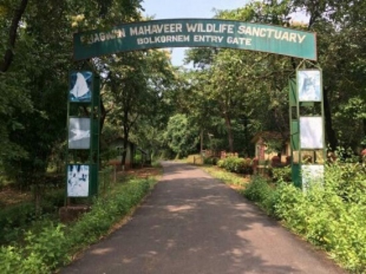 Two decades later, boundaries of wildlife sanctuaries not demarcated