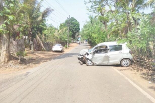 Two family members die  in Panchawadi accident