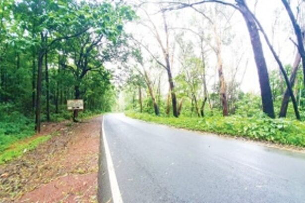 Two-lane road at Karmalghat to be expanded