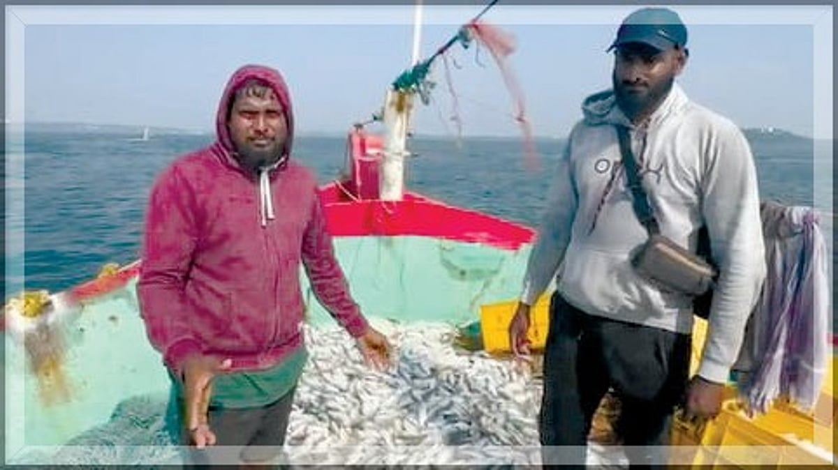 Two trawlers from Malpe, Karnataka seized for illegal fishing at Nerul