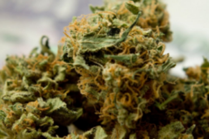 Two youth held with ganja at Calangute