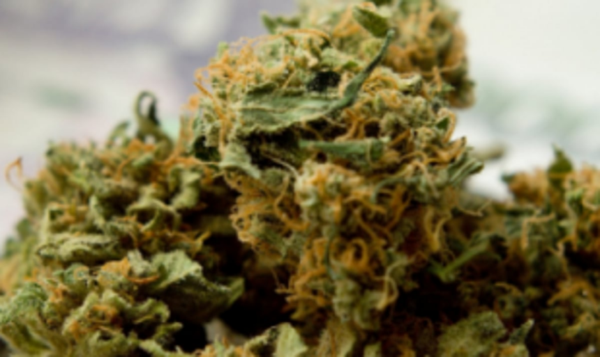 25-year-old held with suspected ganja worth Rs 1 lakh in Sinquerim 1 Two youth held with ganja at Calangute