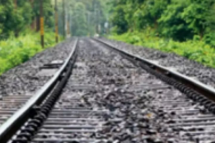 UGDP hails CEC’s decision on anti-Goan   linear projects