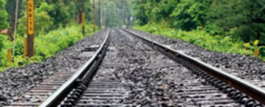 UGDP hails CEC’s decision on anti-Goan   linear projects