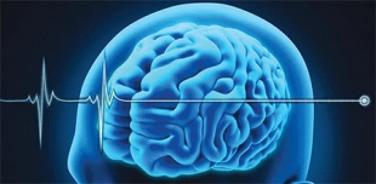 UNDERSTANDING BRAIN DEATH AND ORGAN DONATION