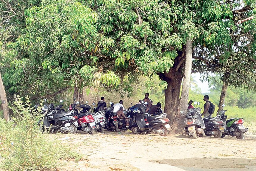 UNder the Shadows: The Nigerians are back in Parra.