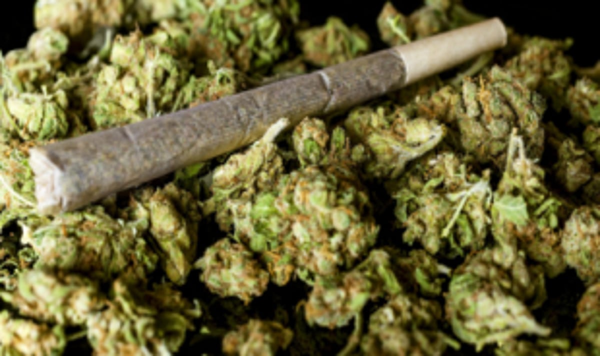 UP native caught with ganja worth  Rs 5 lakh in Mapusa by Crime Branch