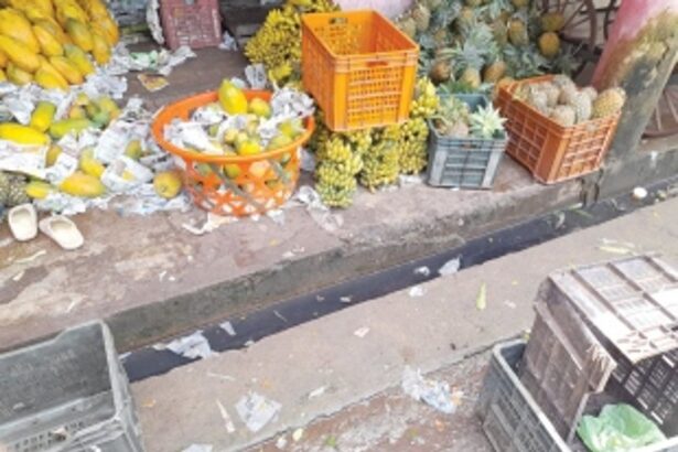 Ugly site: Mapusa’s agri yard an eyesore