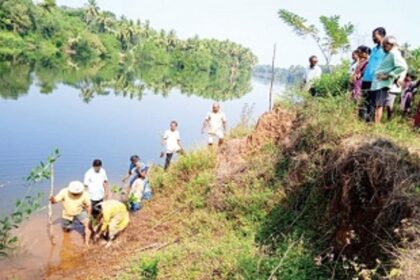 Ugvem locals plant 500 mangroves along Tiracol river bank to protect their land