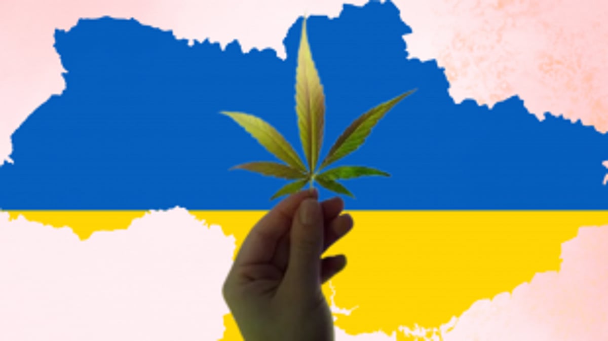 Ukraine Legalizes Medical Cannabis Amid Conflict with Russia