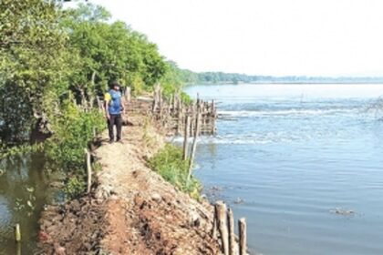 Unable to farm flooded khazans, ryots plead for new bhandara