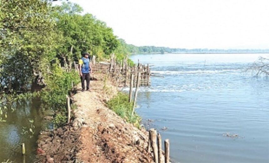 Unable to farm flooded khazans, ryots plead for new bhandara 1 Unable to farm flooded khazans, ryots plead for new bhandara