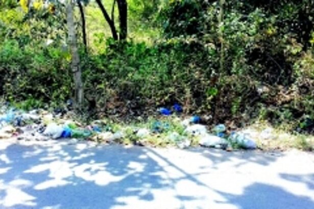 Unbearable garbage stink