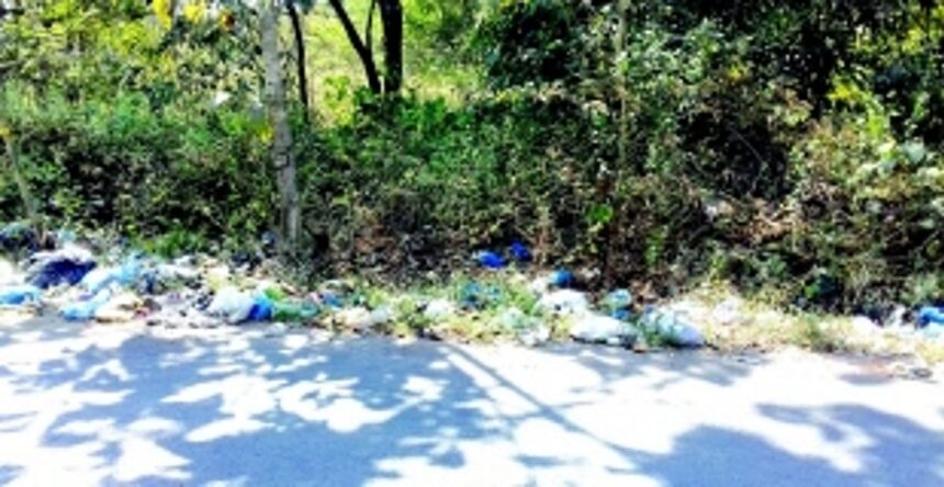 Unbearable garbage stink