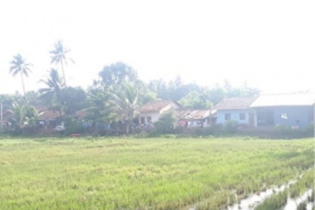 Uncertainty looms over 300 slum dwellers of Reboda-Maddar owing to Western Bypass project