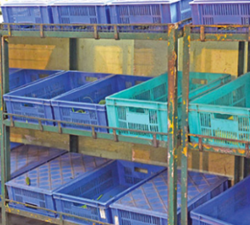 Under lockdown, distributors waiting for clarity