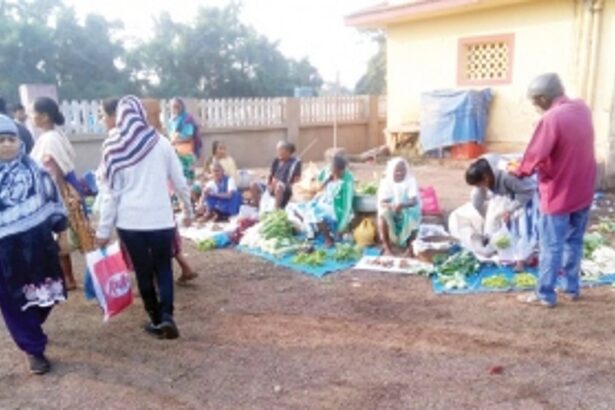 Under-scrutiny wholesale fish market wears a neater look