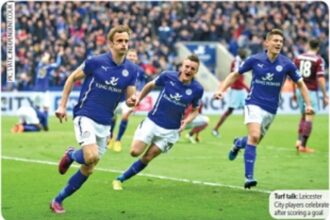 Underdogs or fancied foxes?