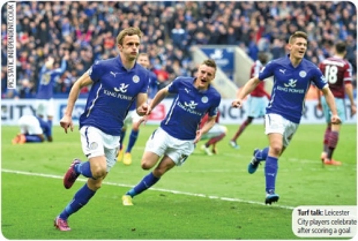 Underdogs or fancied foxes?