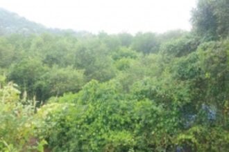 Undir-Bandora residents red flag STP project,  say it would lead to an ecological disaster