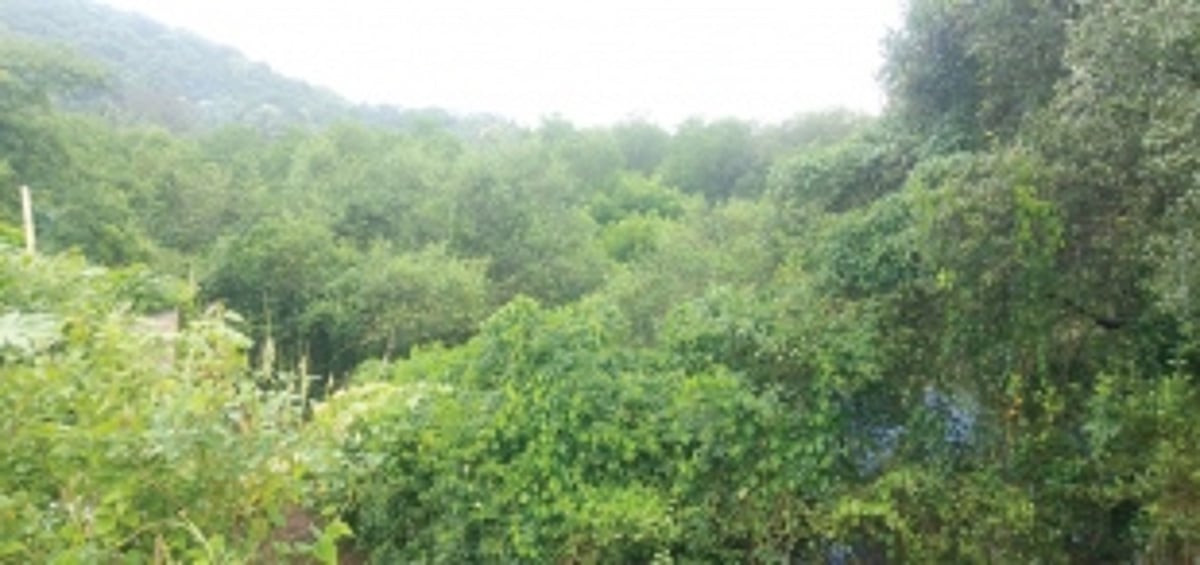 Undir-Bandora residents red flag STP project,  say it would lead to an ecological disaster