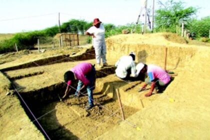 Unearthing origins: A passion for archaeology, prehistory and human evolution