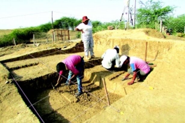 Unearthing origins: A passion for archaeology, prehistory and human evolution