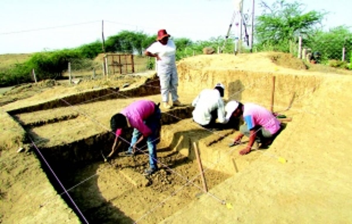 Unearthing origins: A passion for archaeology, prehistory and human evolution