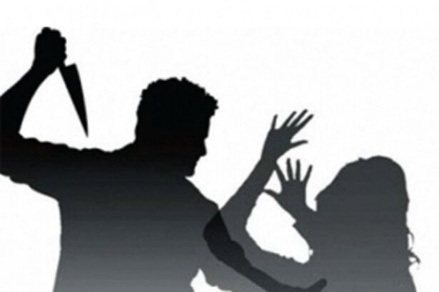 Unease grows, as settlers in Goa reflect on Shireen's killing