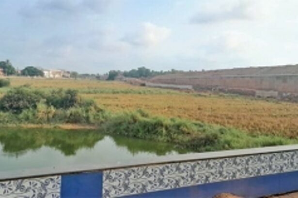 Unfinished work on Western bypass gives nightmares to Benaulim farmers