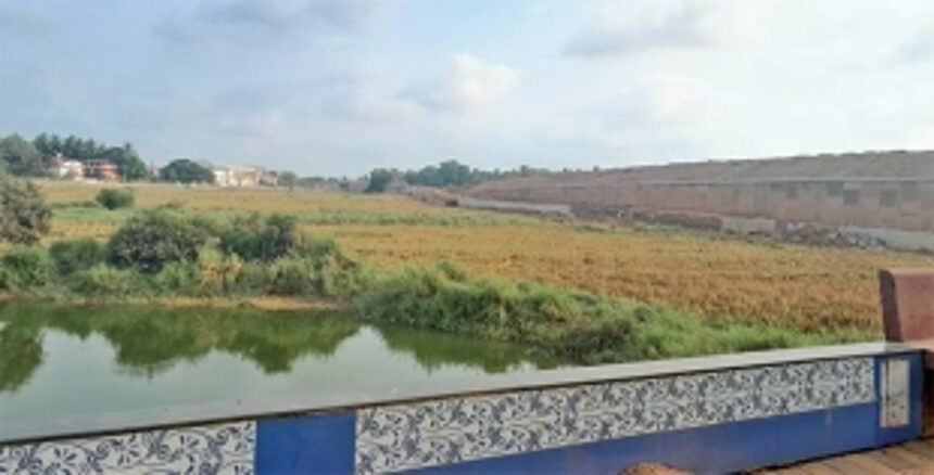 Unfinished work on Western bypass gives nightmares to Benaulim farmers