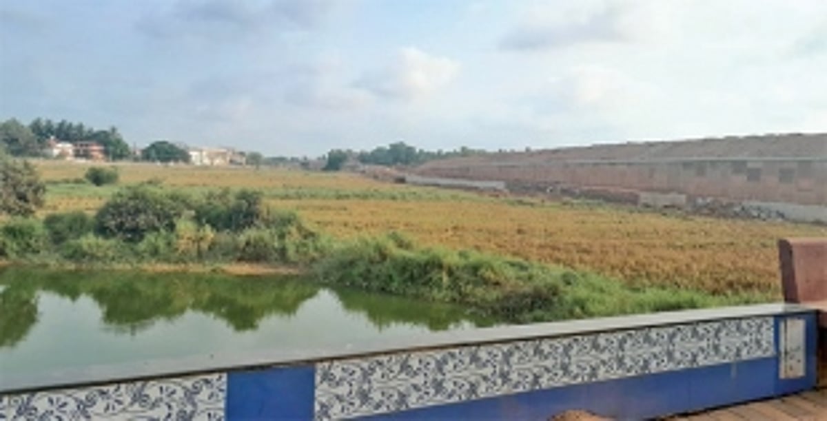 Unfinished work on Western bypass gives nightmares to Benaulim farmers