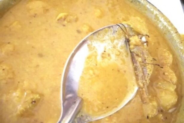 Unhygienic Sanquelim college canteen! Insect found in bhaji