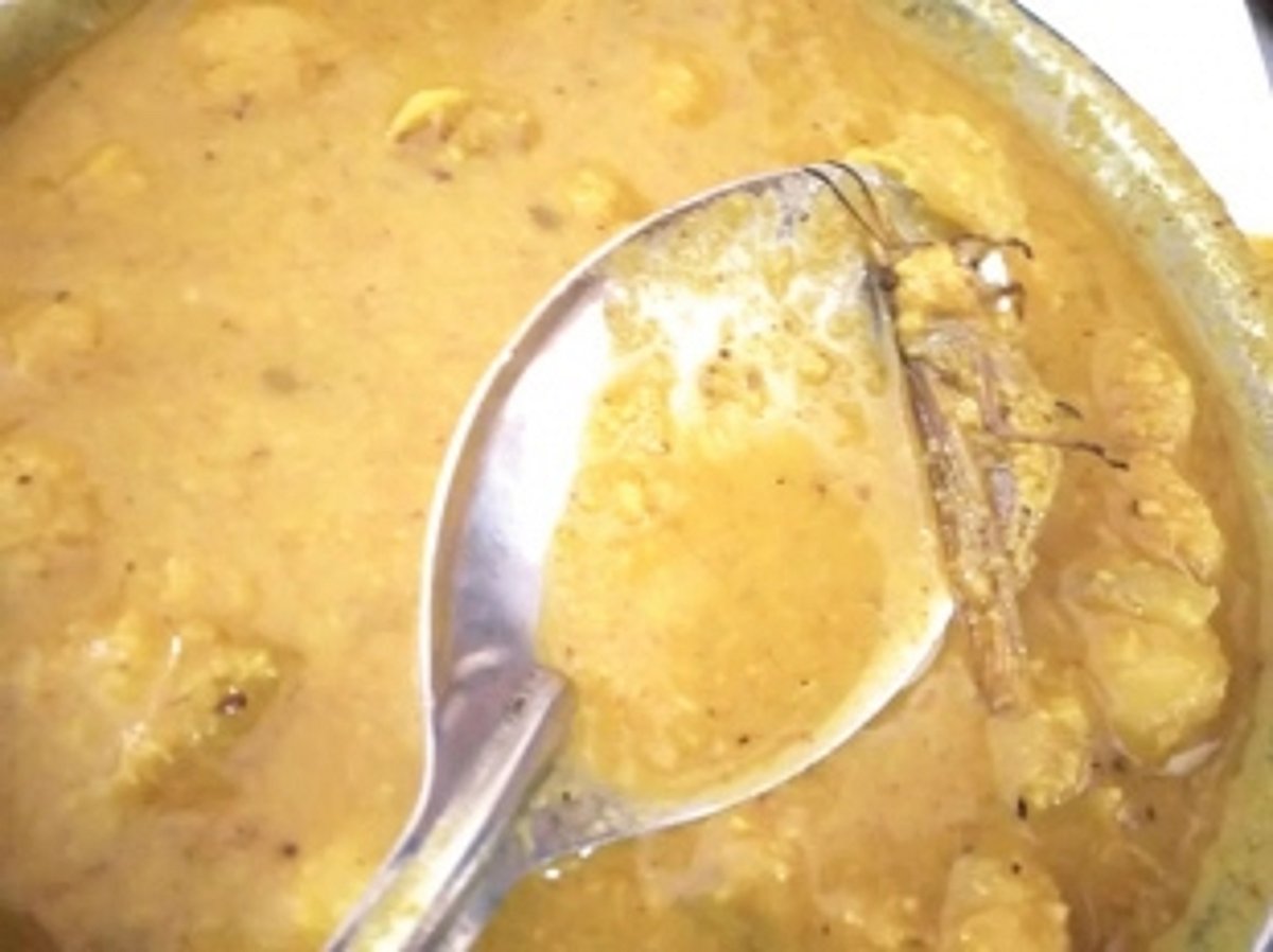 Unhygienic Sanquelim college canteen! Insect found in bhaji