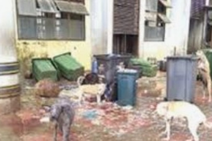 Unhygienic conditions at Mapusa meat market poses risk of food-borne infections