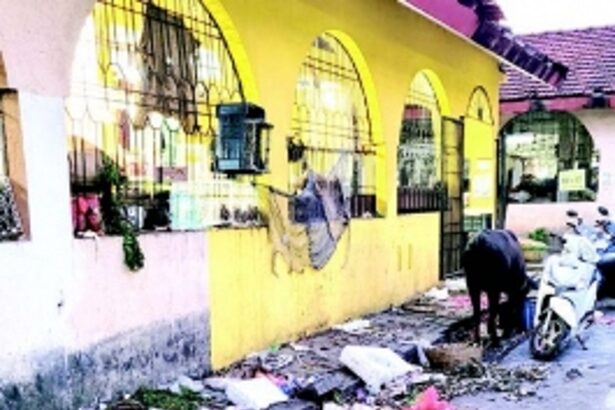 Unhygienic conditions in and around SGPDA market