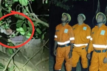 Unidentified Individual Rescued After Being Trapped in Banyan Tree 60-70 Feet Up