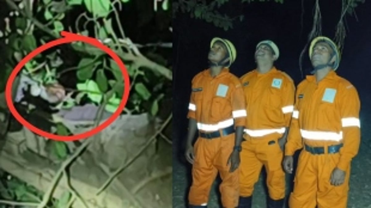Unidentified Individual Rescued After Being Trapped in Banyan Tree 60-70 Feet Up