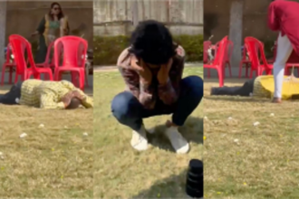 Uninvited Swarm of Bees Creates Chaos at Madhya Pradesh Wedding: 12 Injured in Aggressive Attack