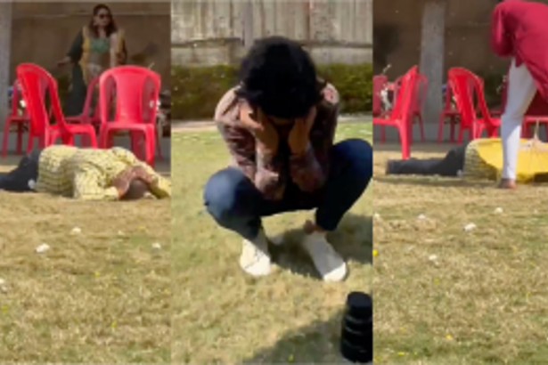 Uninvited Swarm of Bees Creates Chaos at Madhya Pradesh Wedding: 12 Injured in Aggressive Attack