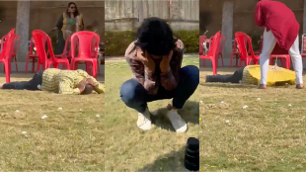 Uninvited Swarm of Bees Creates Chaos at Madhya Pradesh Wedding: 12 Injured in Aggressive Attack