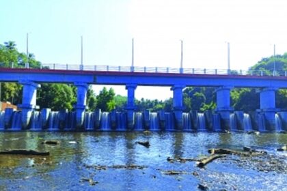 Unique bhandara doubles as footbridge between two villages