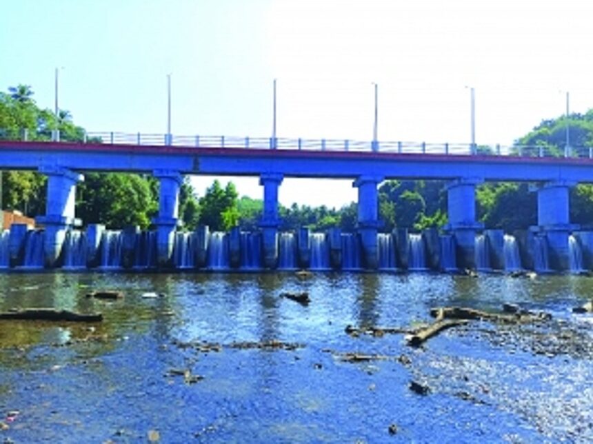 Unique bhandara doubles as footbridge between two villages