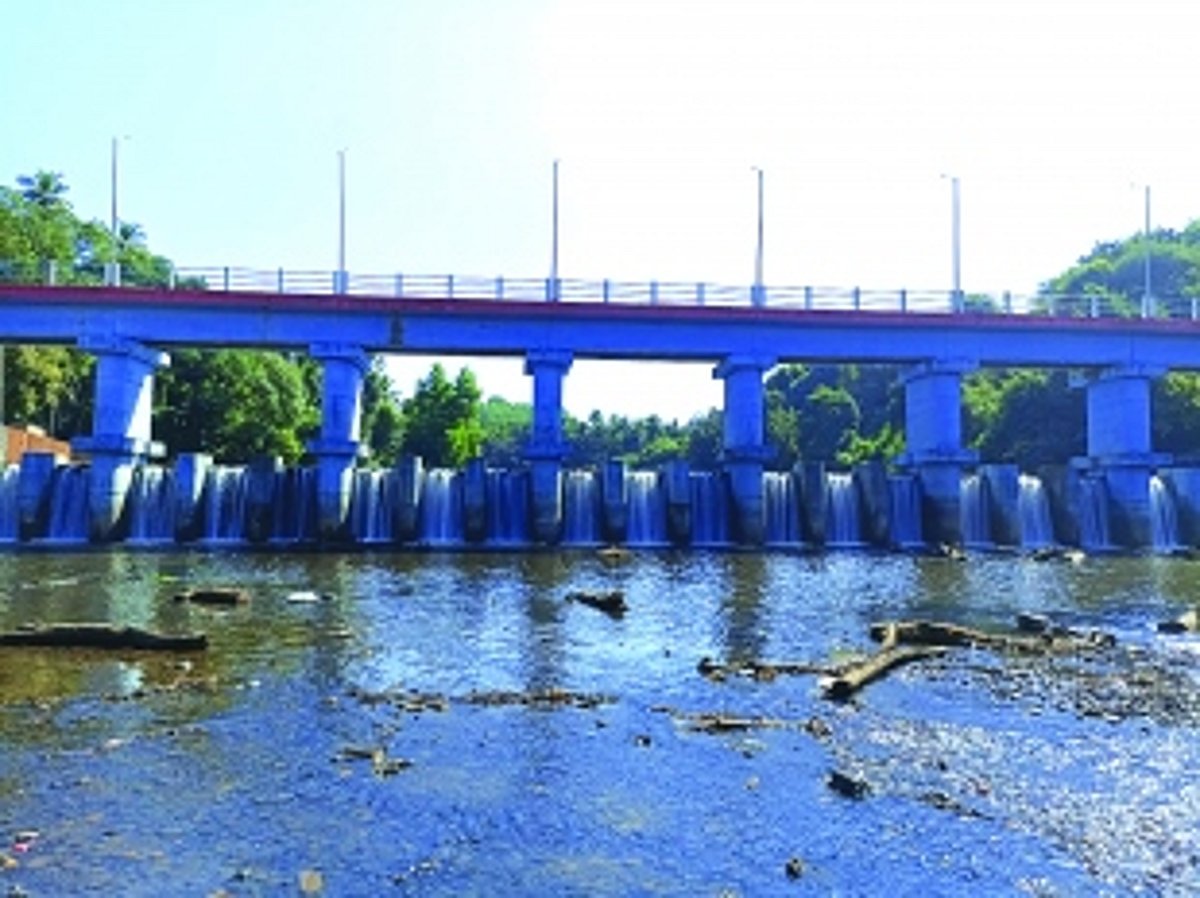 Unique bhandara doubles as footbridge between two villages