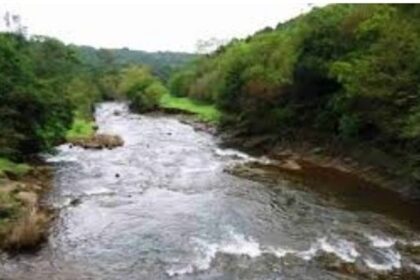Unless Goa hires good lawyers and declare Tiger Reserve, Mhadei will be lost