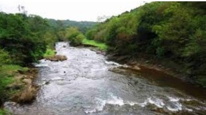 Unless Goa hires good lawyers and declare Tiger Reserve, Mhadei will be lost