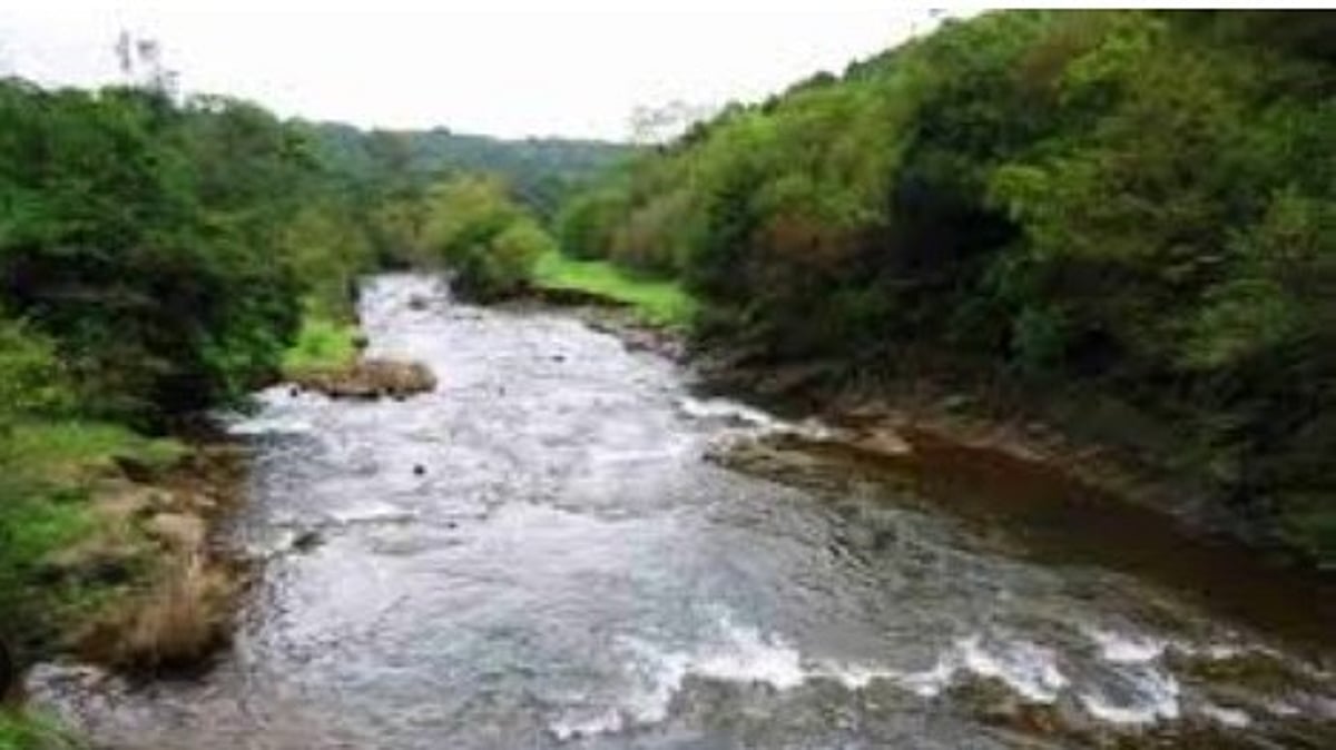 Unless Goa hires good lawyers and declare Tiger Reserve, Mhadei will be lost
