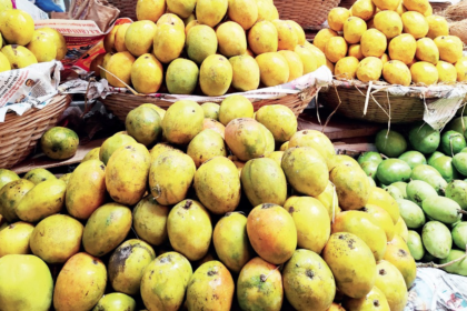 Unseasonal Rains Cause Mango Shortage, Driving Prices Up in Margao