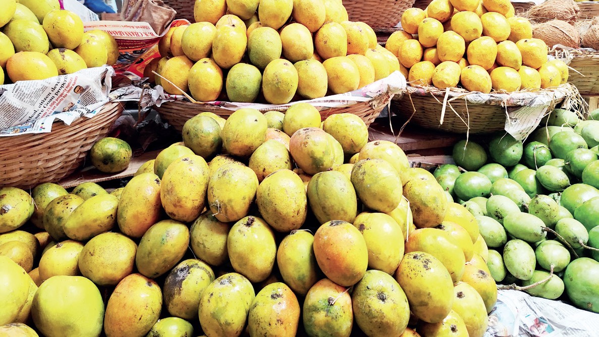 Unseasonal Rains Cause Mango Shortage, Driving Prices Up in Margao